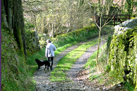 Walks from Layhead